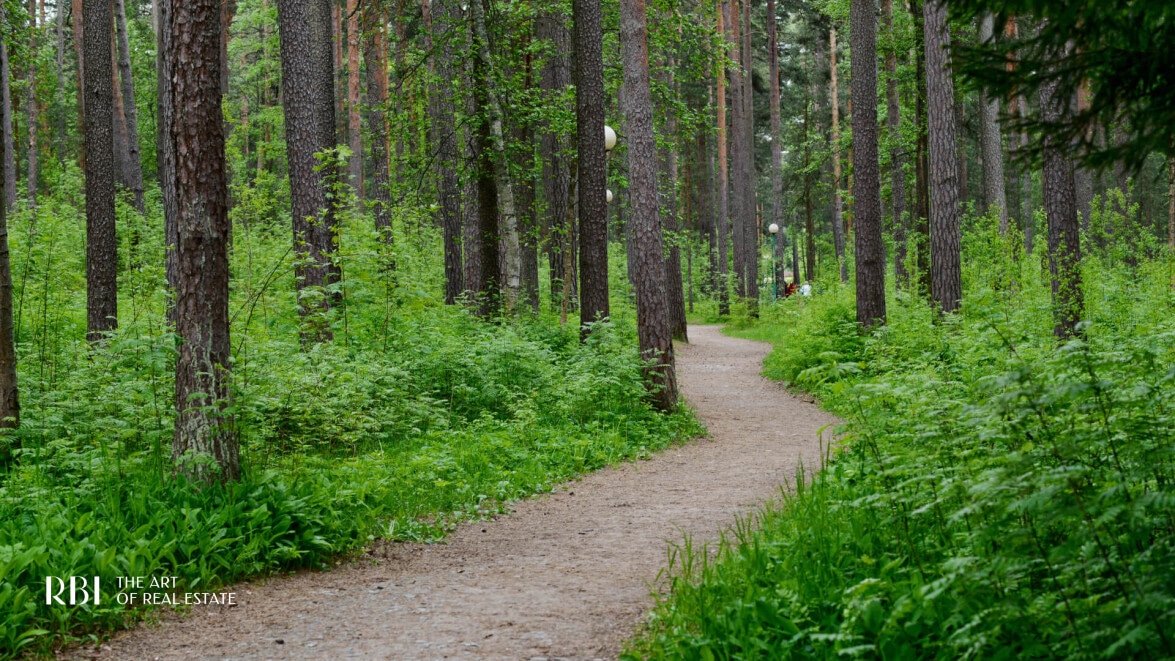 RUSSIAN SEASONS - № 5